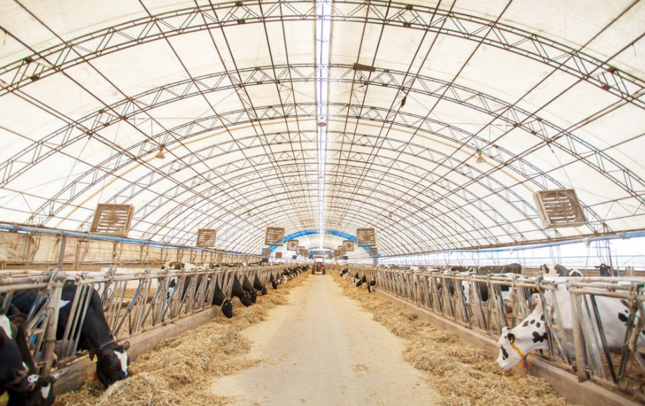 夜夜爽日日澡人人添