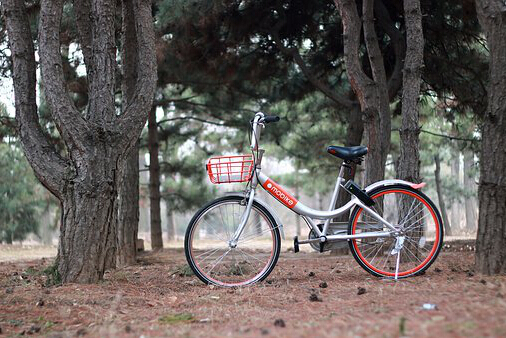 摩拜无“钱”可烧,或要卖身?