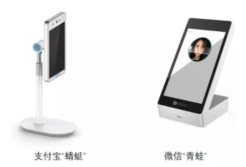 “蜻蜓”对上“青蛙”,到底谁胜谁负?